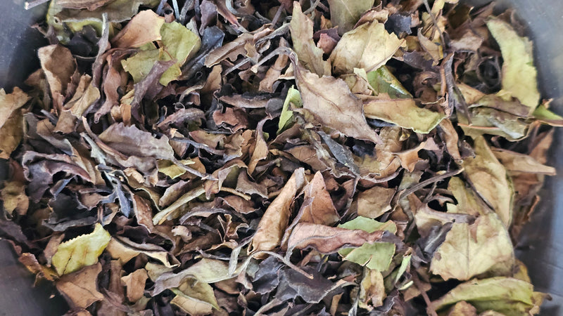 Té Blanco Puro en Hebras